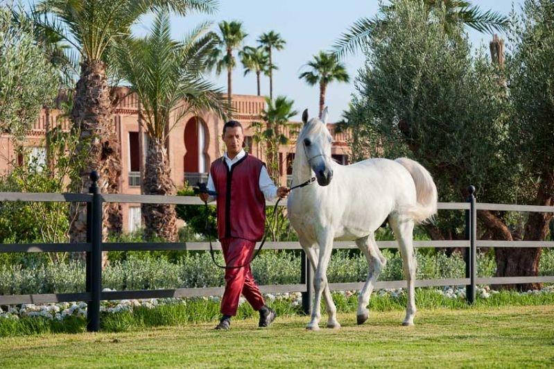 Selman Marrakech