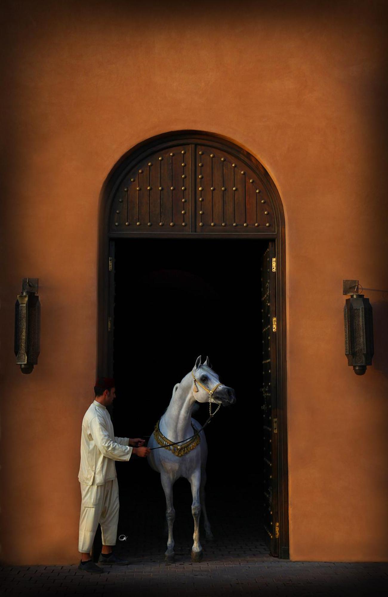 Hotel Selman Marrakech El Makina