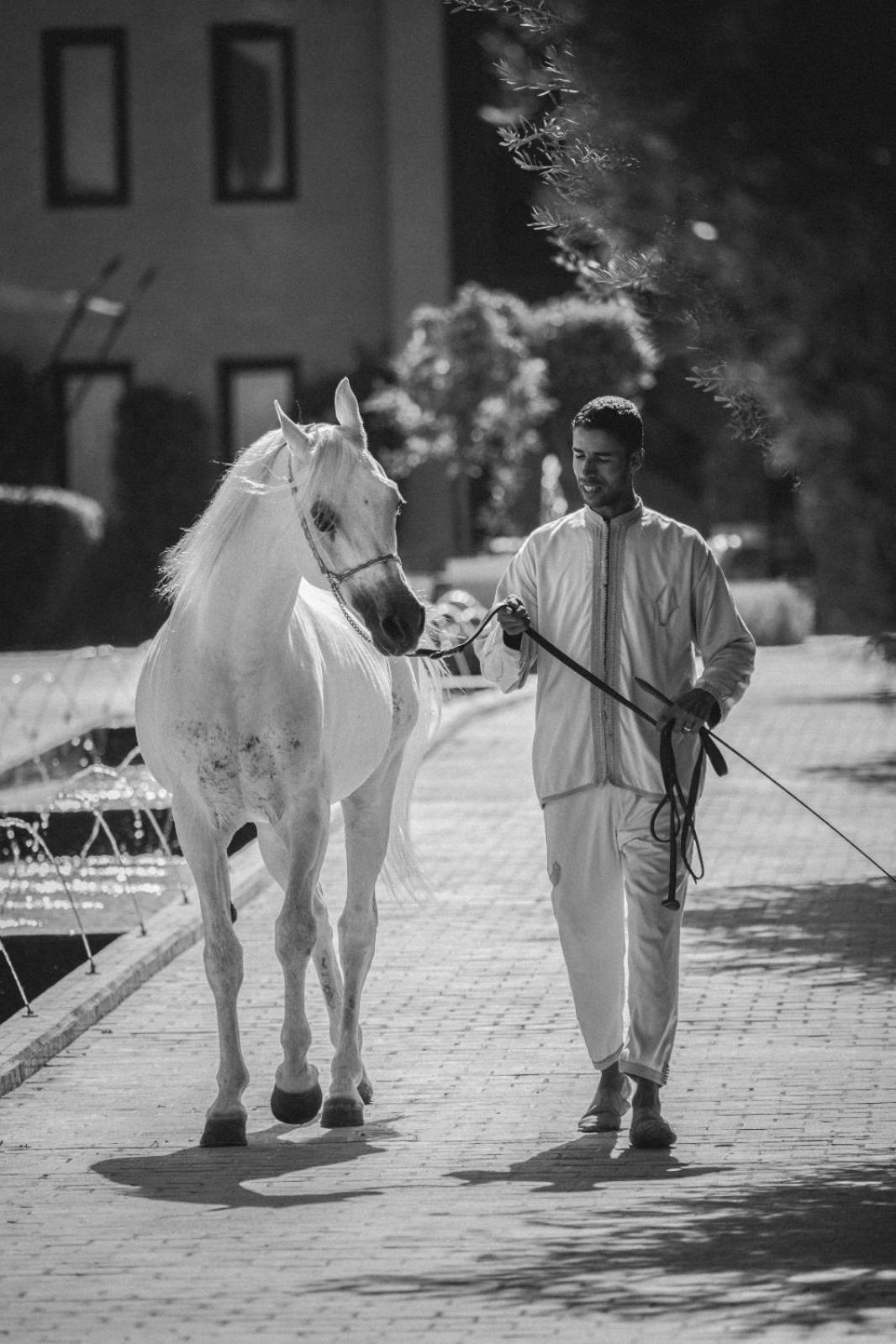 Selman Marrakech Hotel